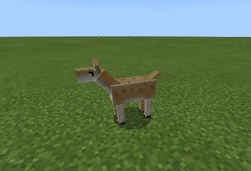 image 28 for 