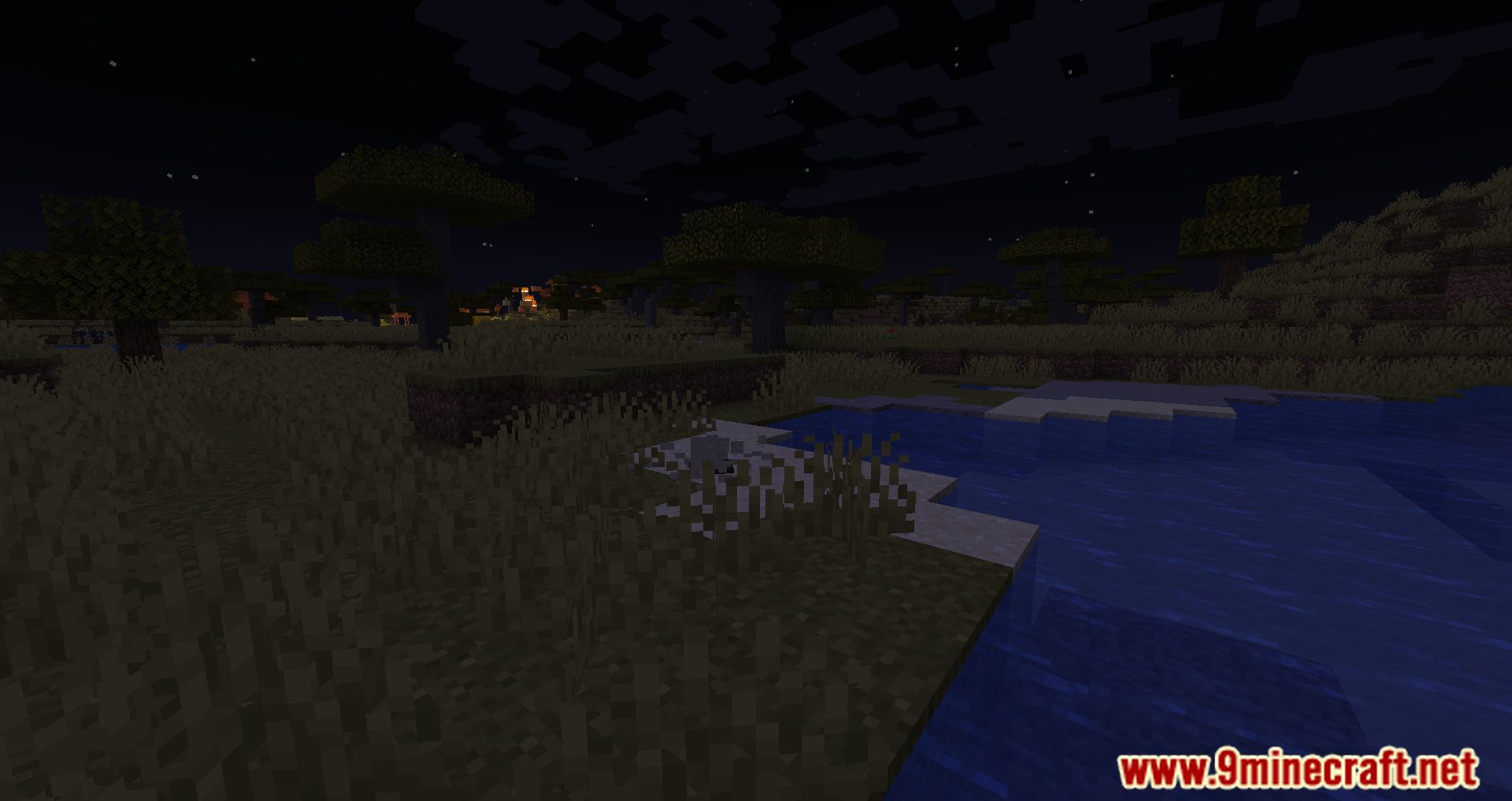 description_8 Мод Spawn Animations (1.20.4) - оживление невидимого