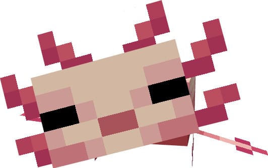 description_4 Minecraft plus.