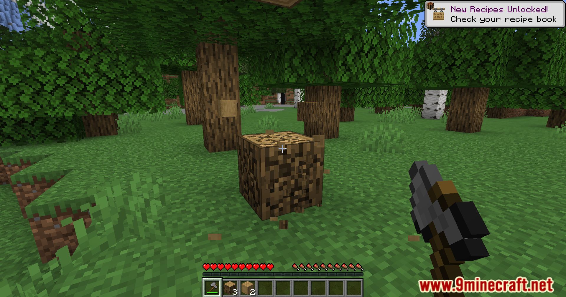 image 10 for No Strip Mod (1.20.4) - Provides a natural look