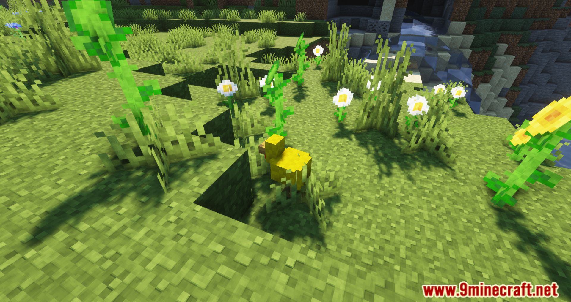 description_5 Roost Ultimate Mod (1.20.4) - capture, breed and extract resources for chickens