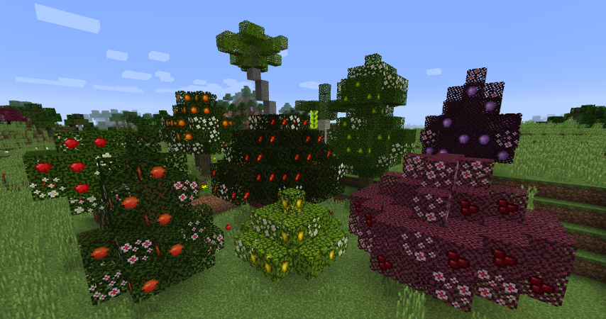 imagem 1 para