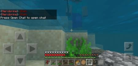 description_16 Herobrine.