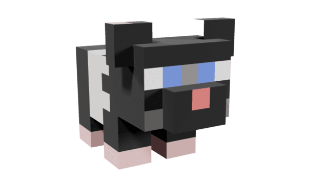 description_4 More pets.