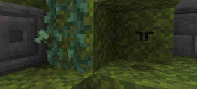 description_26 Expansion of survival.
