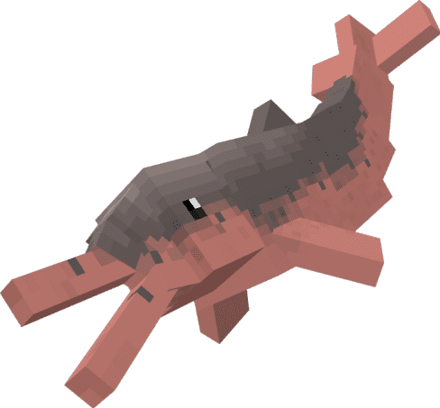 description_1 Maravilhas da Amazônia.