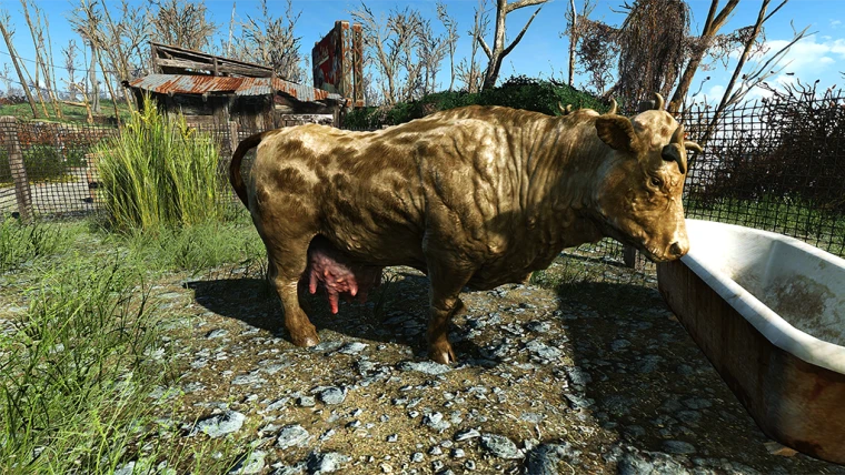 modalImage