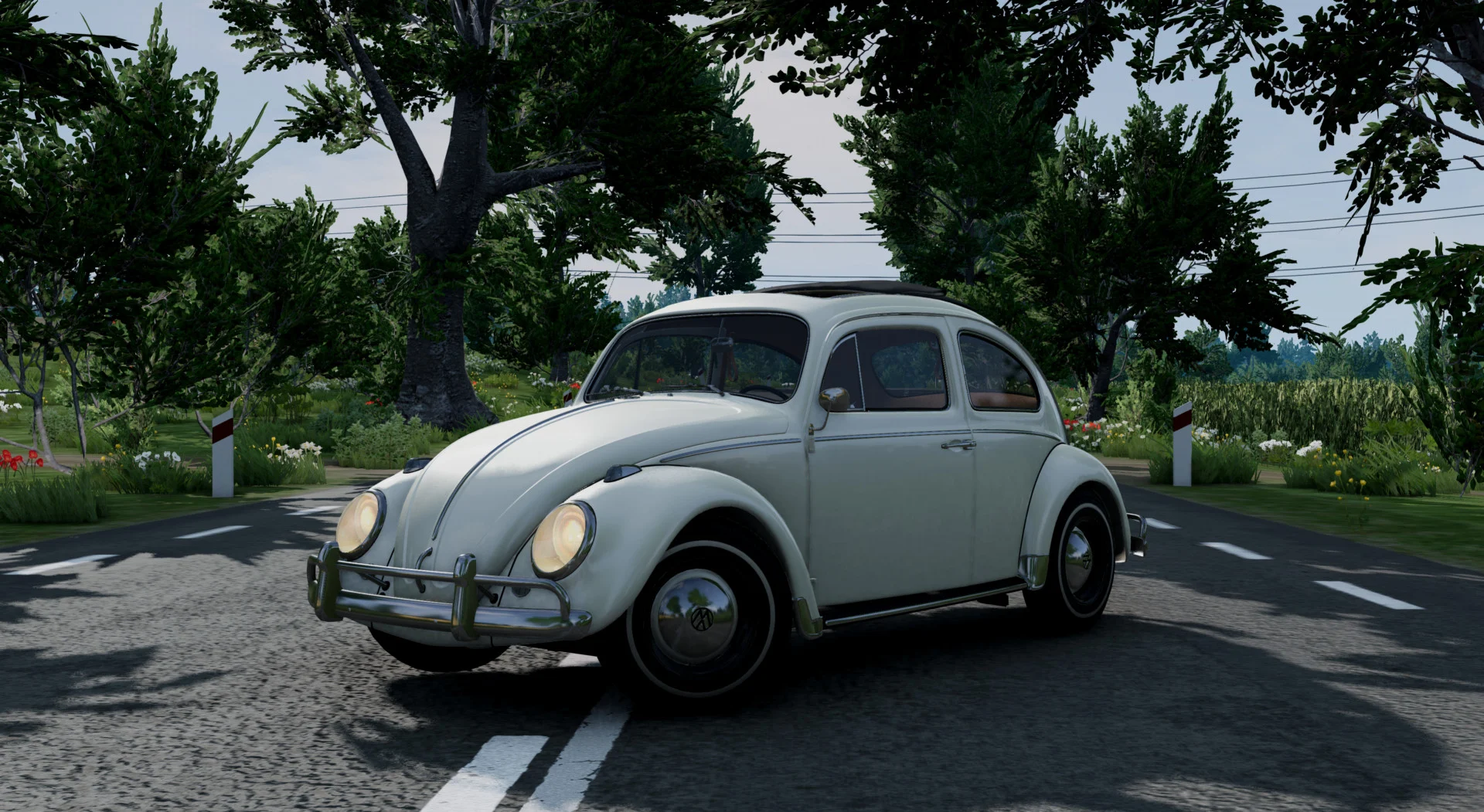 modalImage