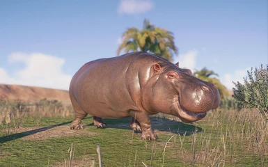 modalImage