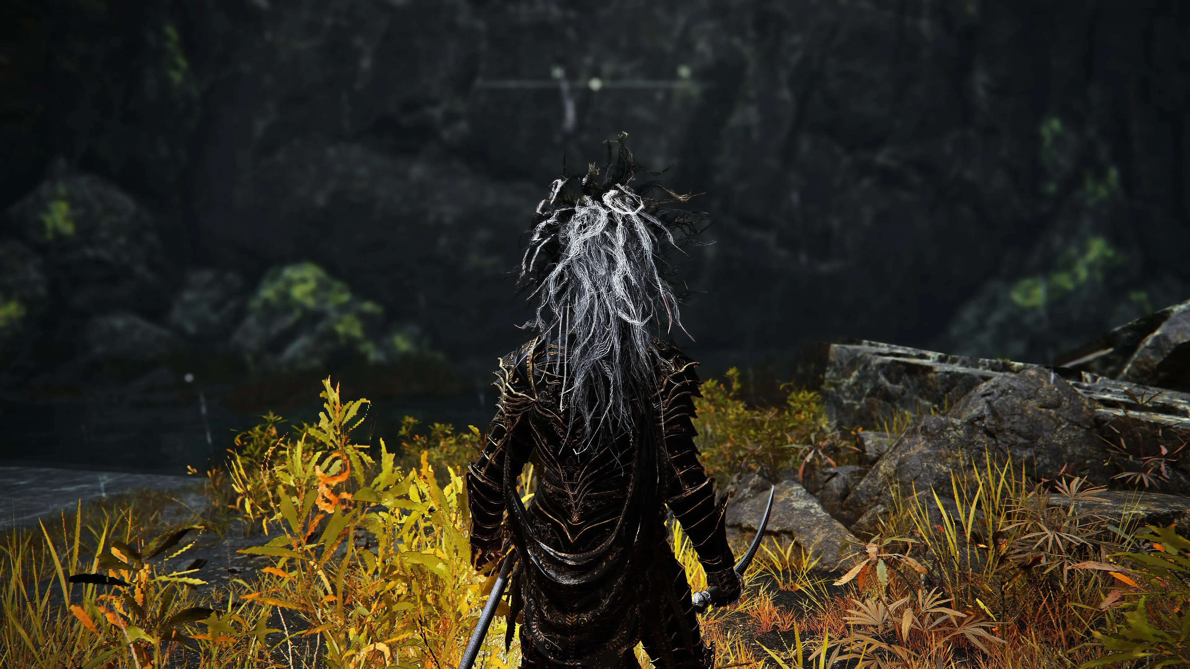 modalImage