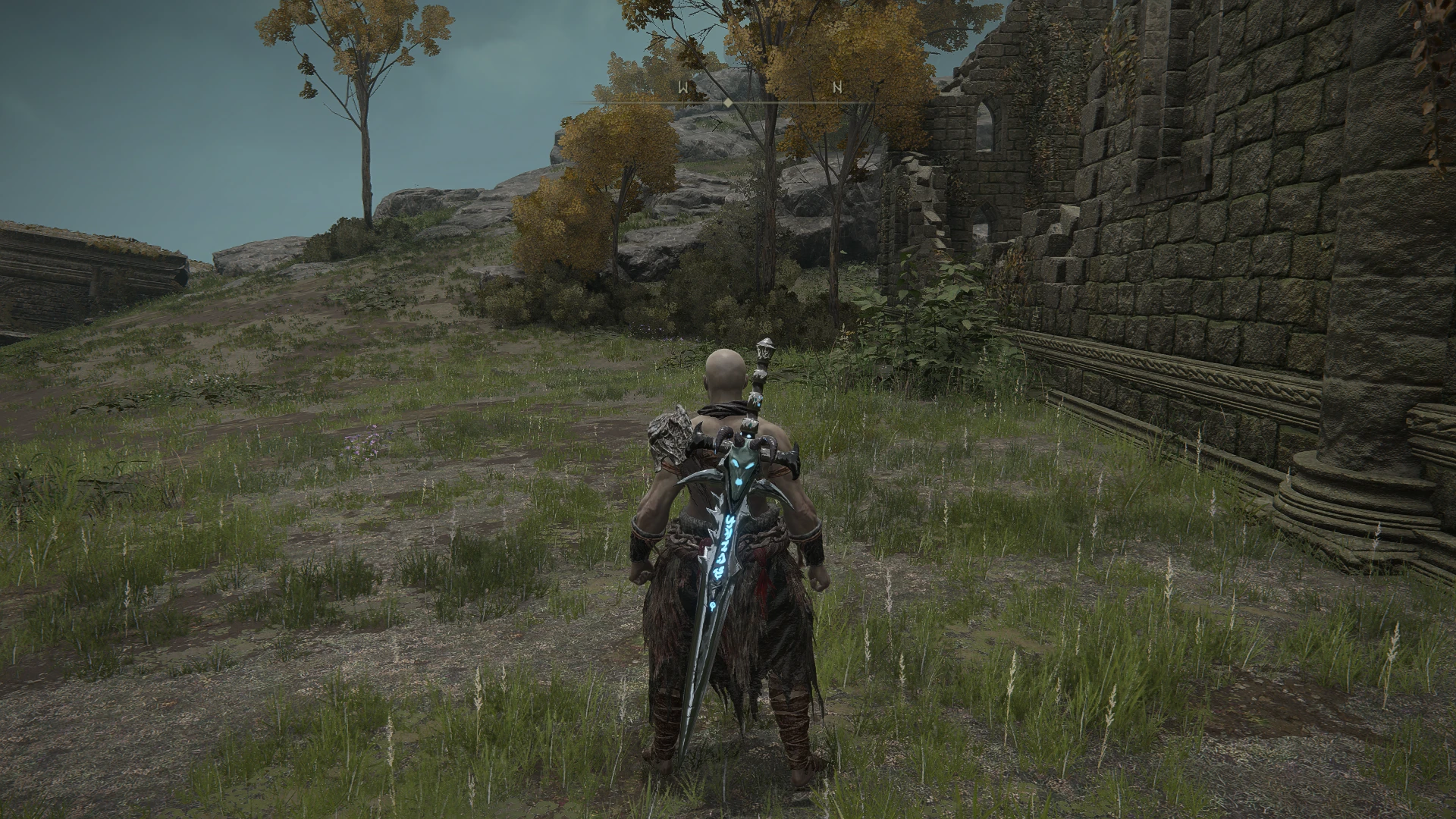 modalImage
