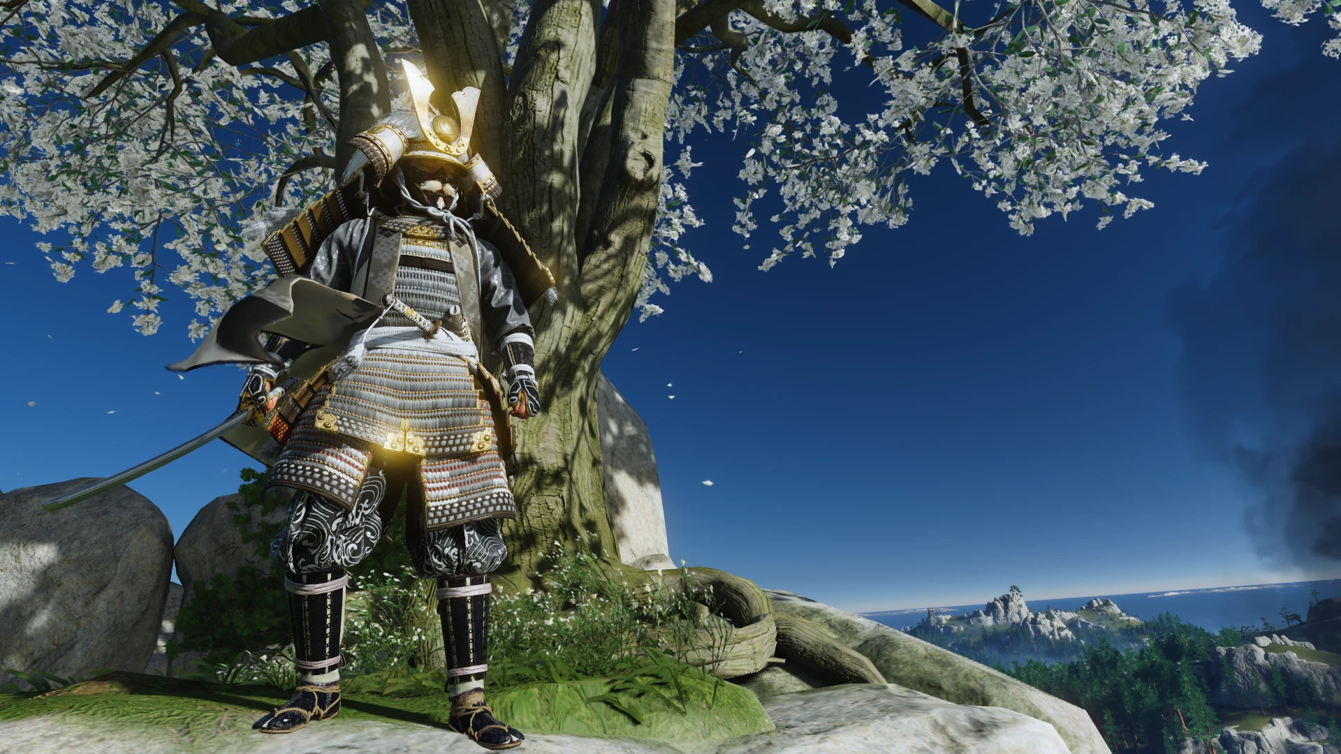 modalImage