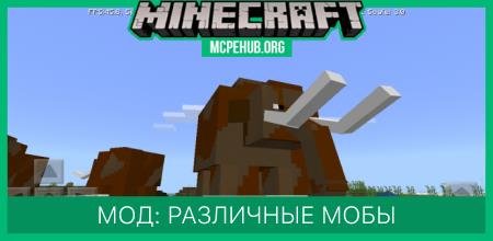 modalImage