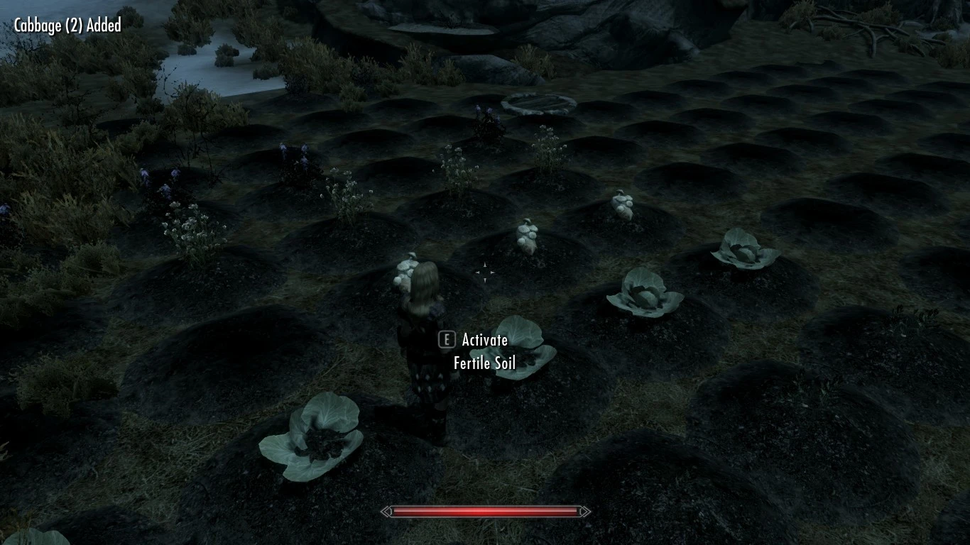 modalImage
