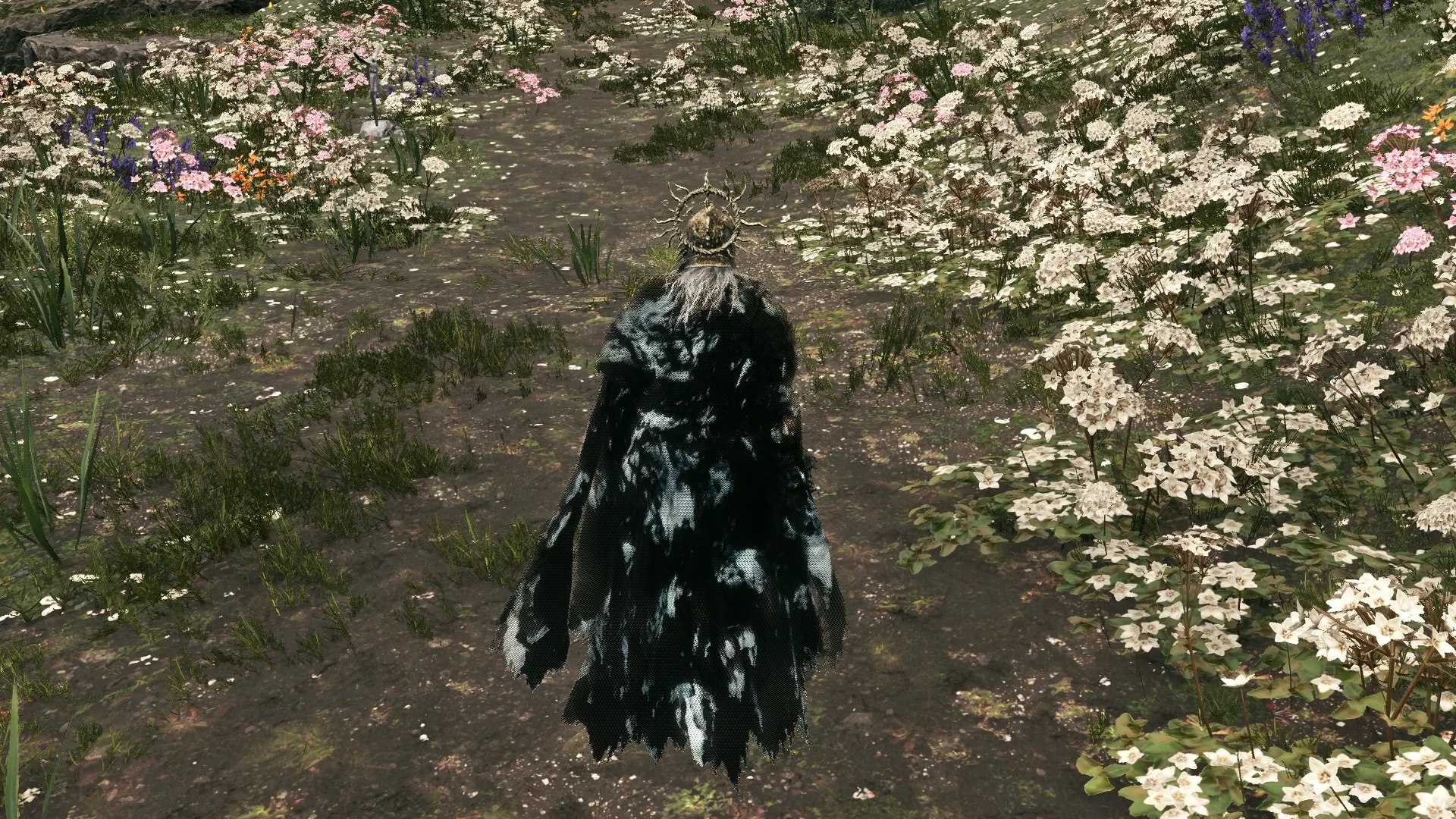 modalImage