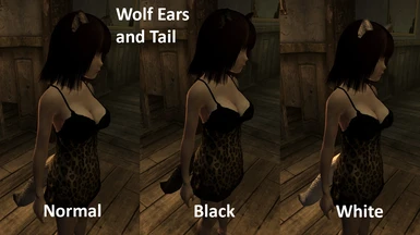 modalImage