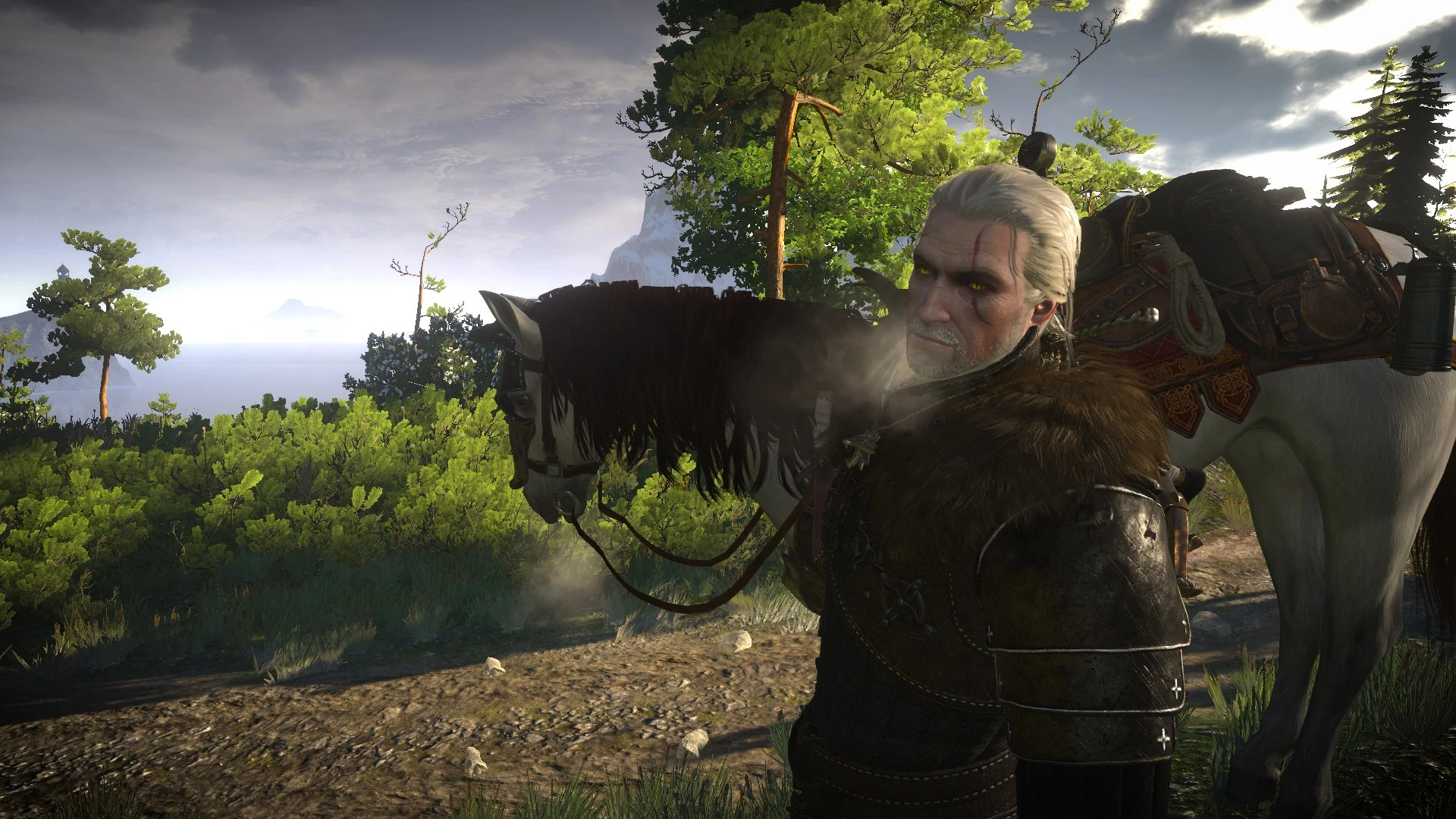 Skellige mod the witcher 3. Ведьмак 1. Моды для игры ведьмак 3. Моды для игры ведьмак 3. Геральт в кунтуше ведьмак 3.