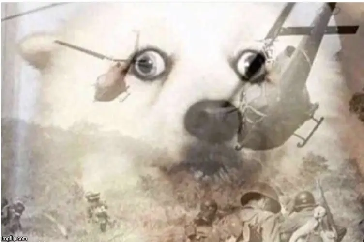 modalImage
