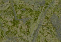 modalImage