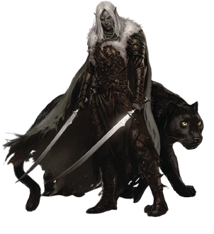 modalImage