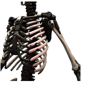 modalImage