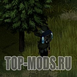 modalImage