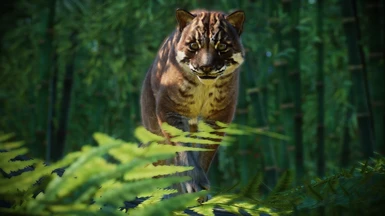 modalImage