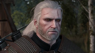 modalImage