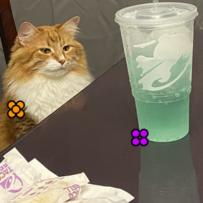 modalImage