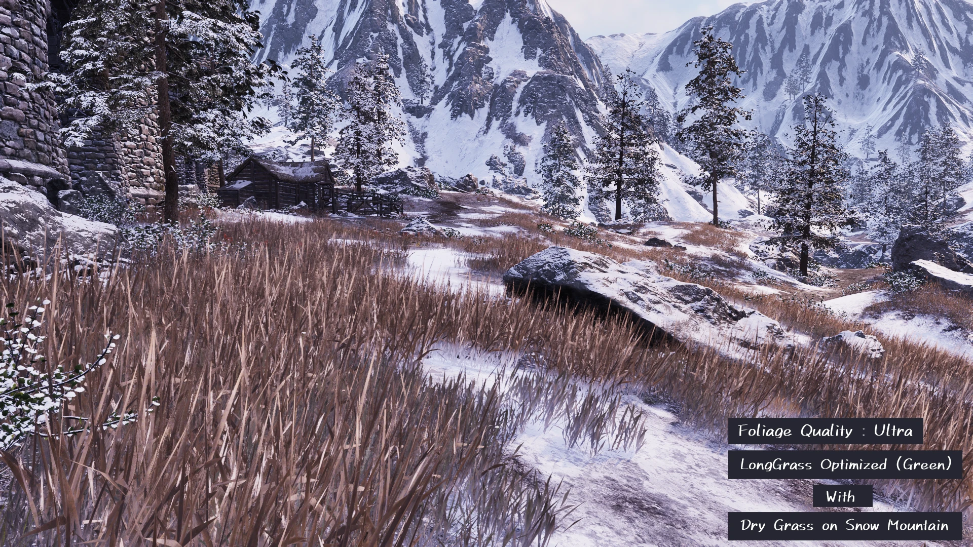 modalImage
