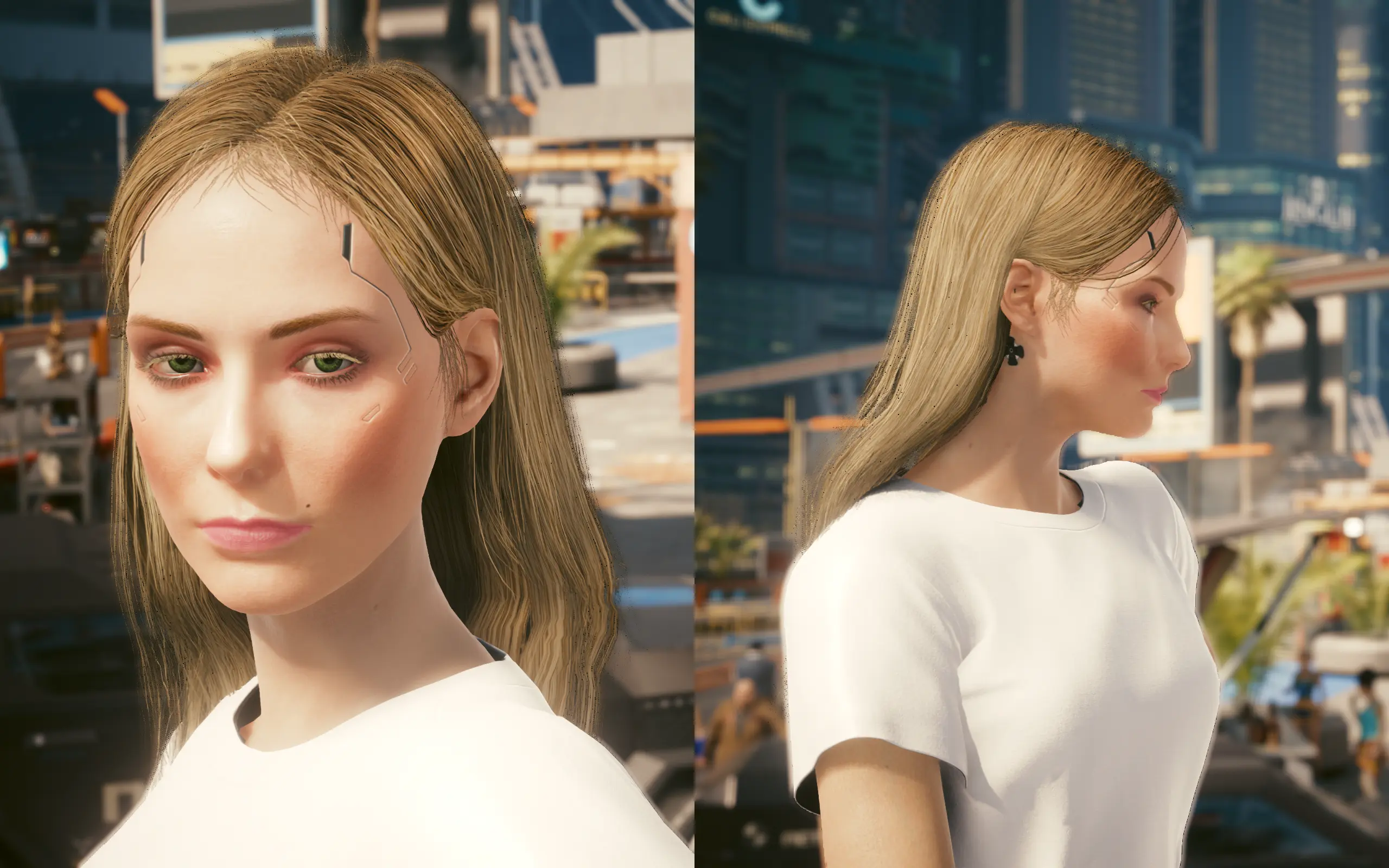 modalImage