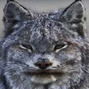 modalImage
