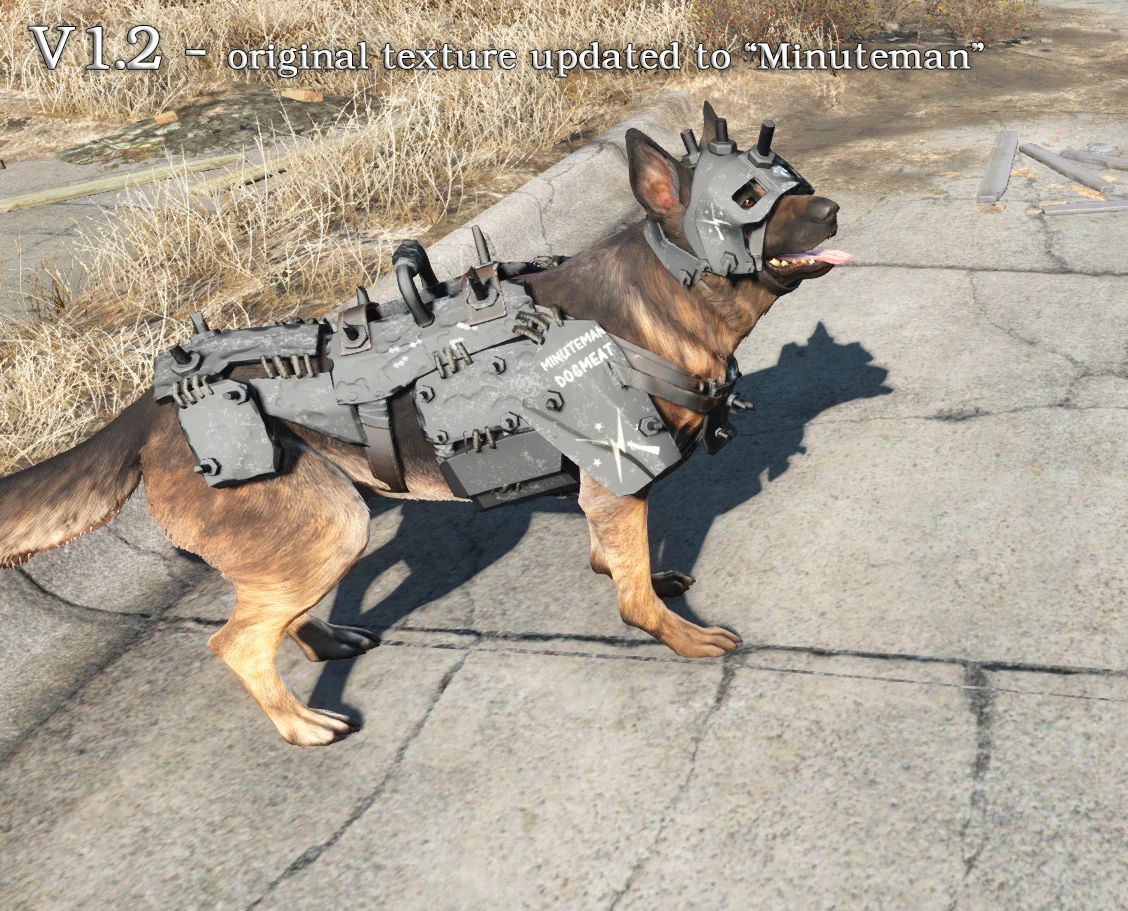 modalImage