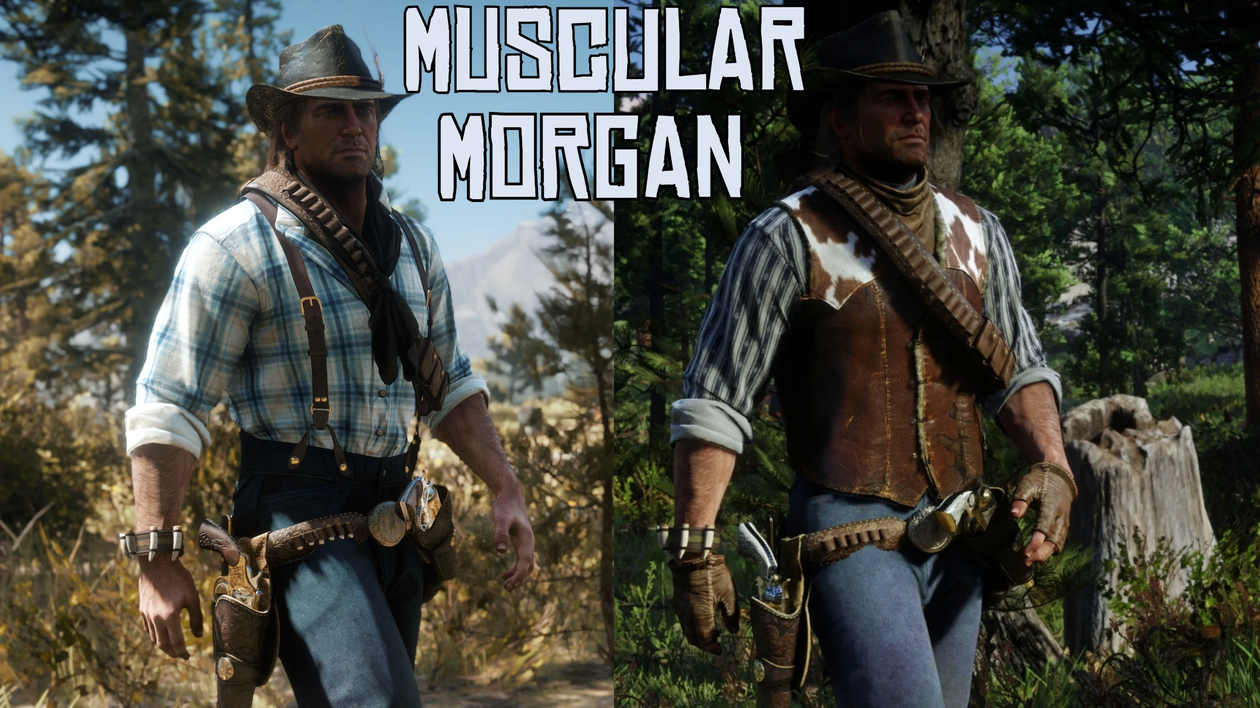 modalImage