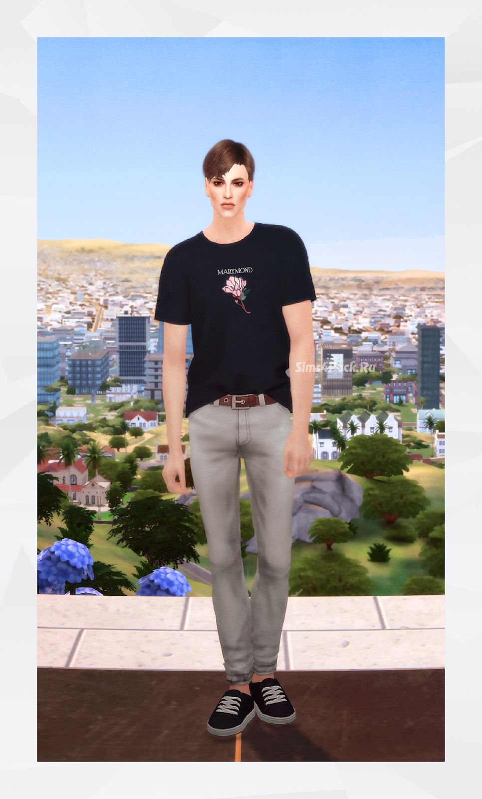modalImage